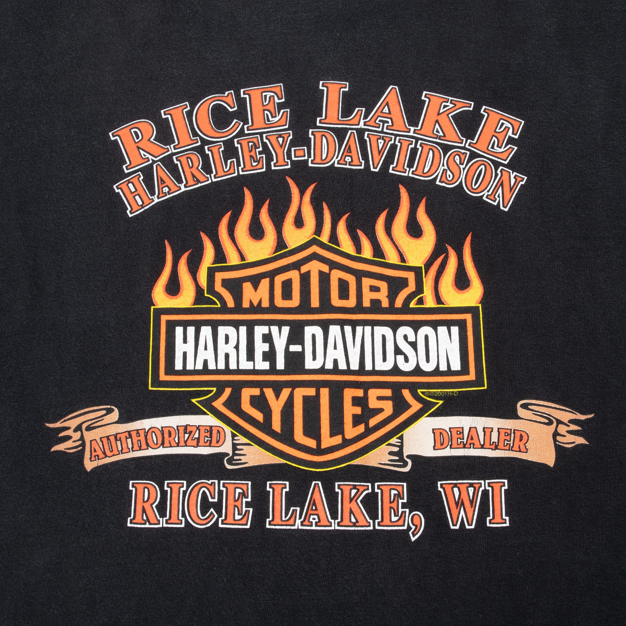 Vintage Harley Davidson Rice Lake Wisconsin Tee Shirt 2001 Size XL Made In Usa