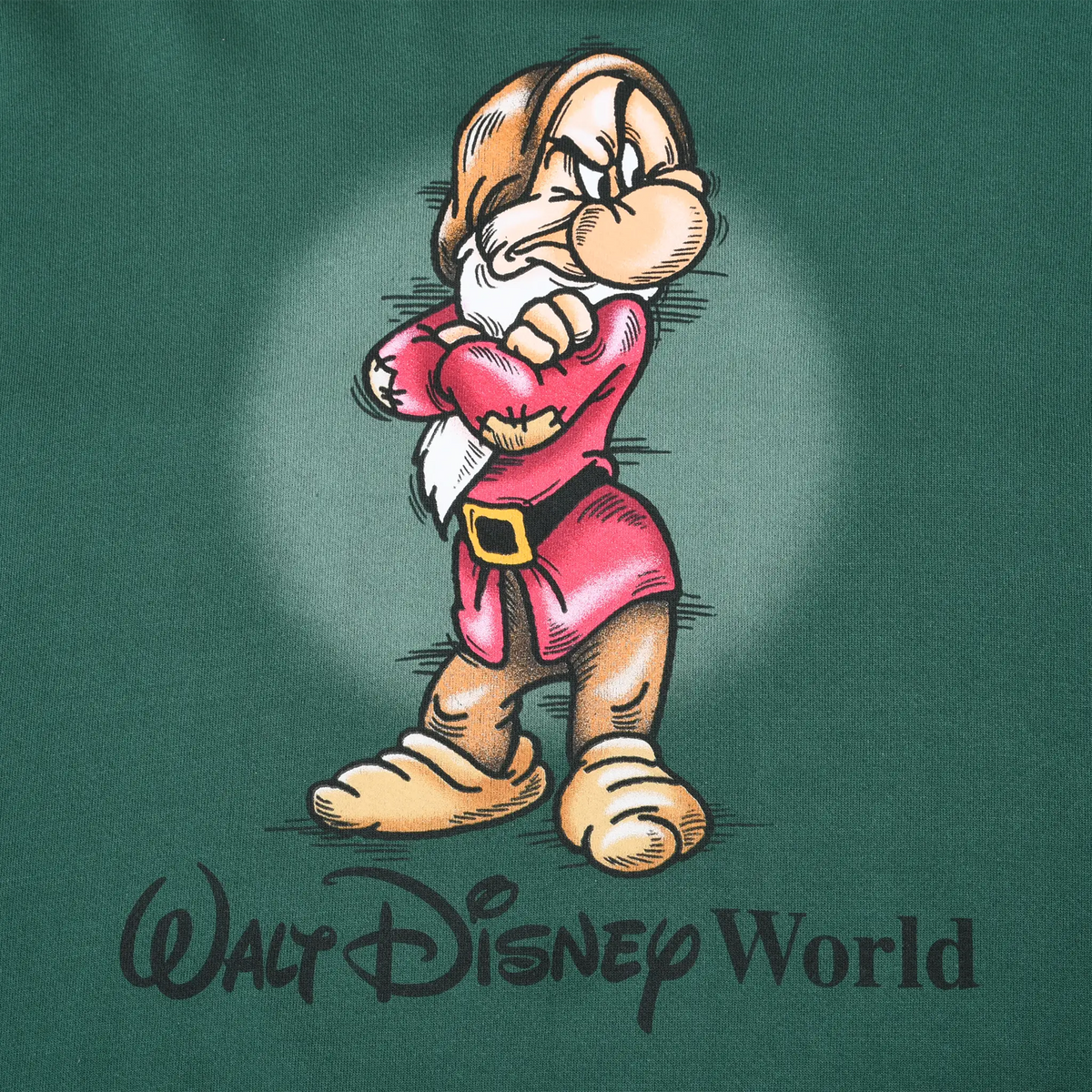 Close-up of Grumpy character graphic and Walt Disney World text on green sweatshirt