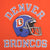 Vintage NFL Denver Broncos 1980S Champion Tee Shirt Size Medium Made In USA With Single Stitch Sleeves