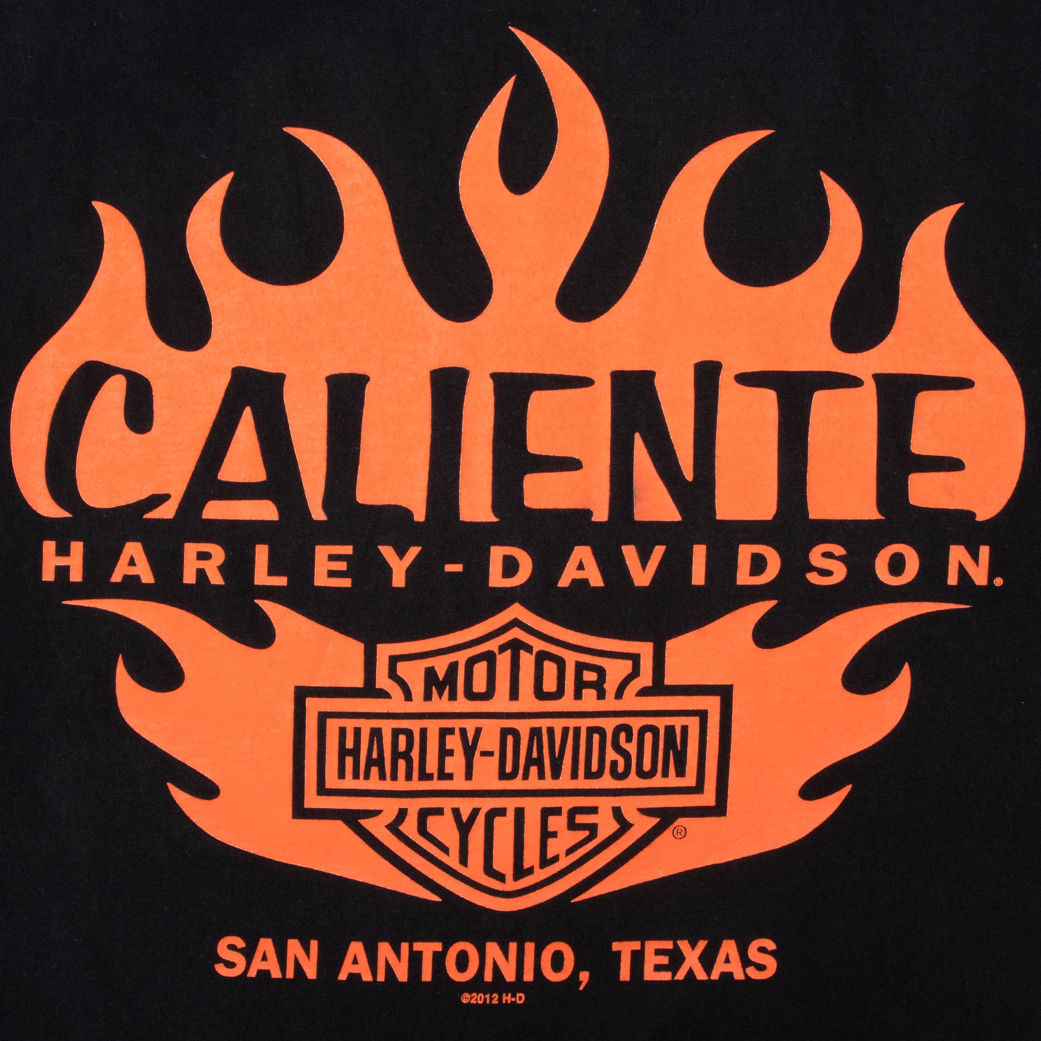 Vintage Harley Davidson Skull San Antonio Texas Tee Shirt 2013 Size XL