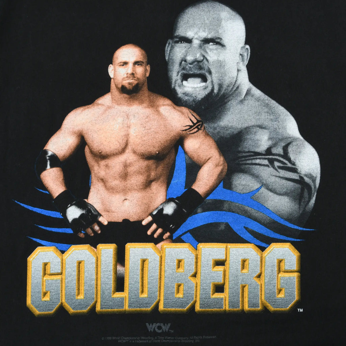 Close-up of front graphic with two Goldberg portraits, blue accents, and gold name lettering