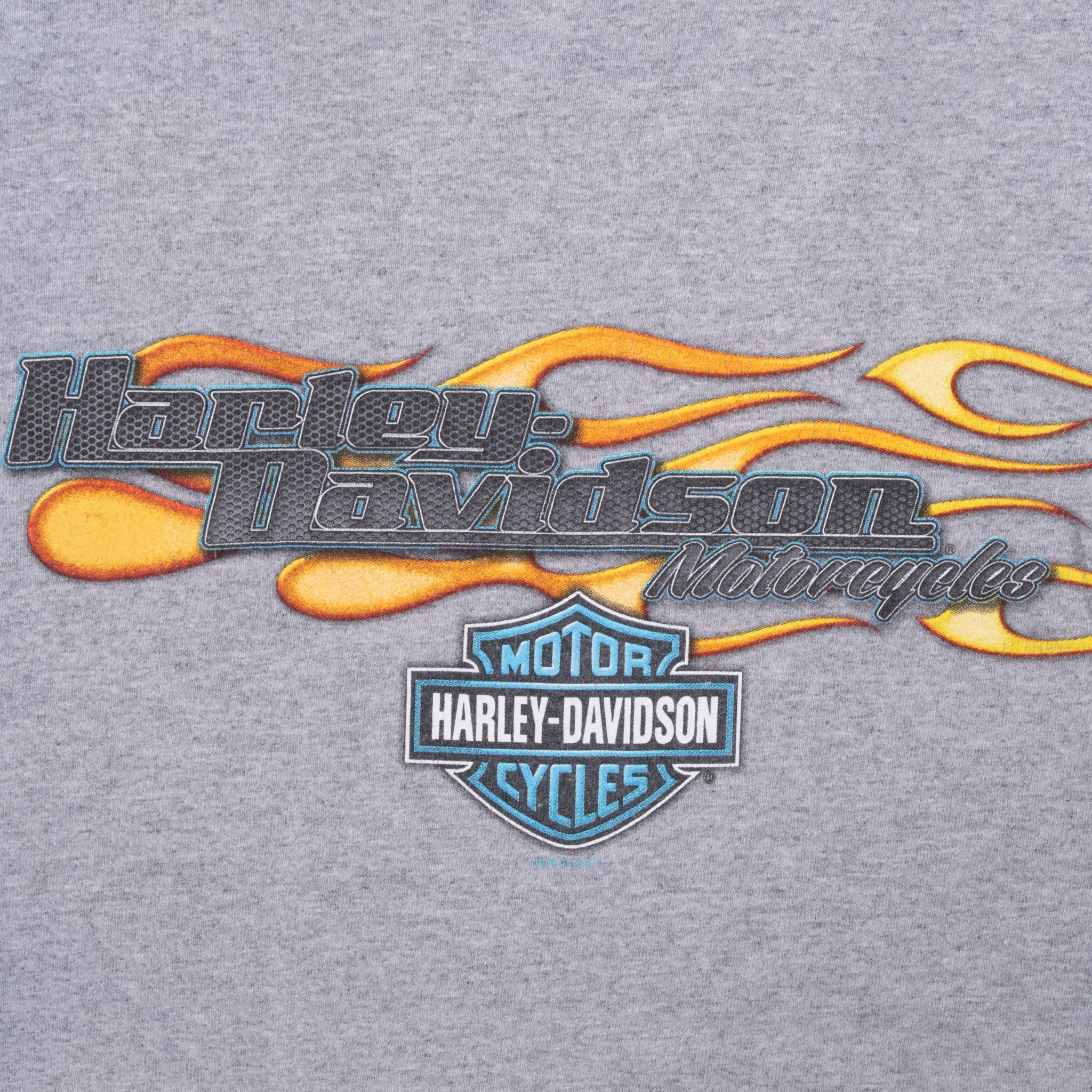 Vintage Harley Davidson Pocatello Idaho Flame Long Sleeve Tee Shirt 2017 Size XL