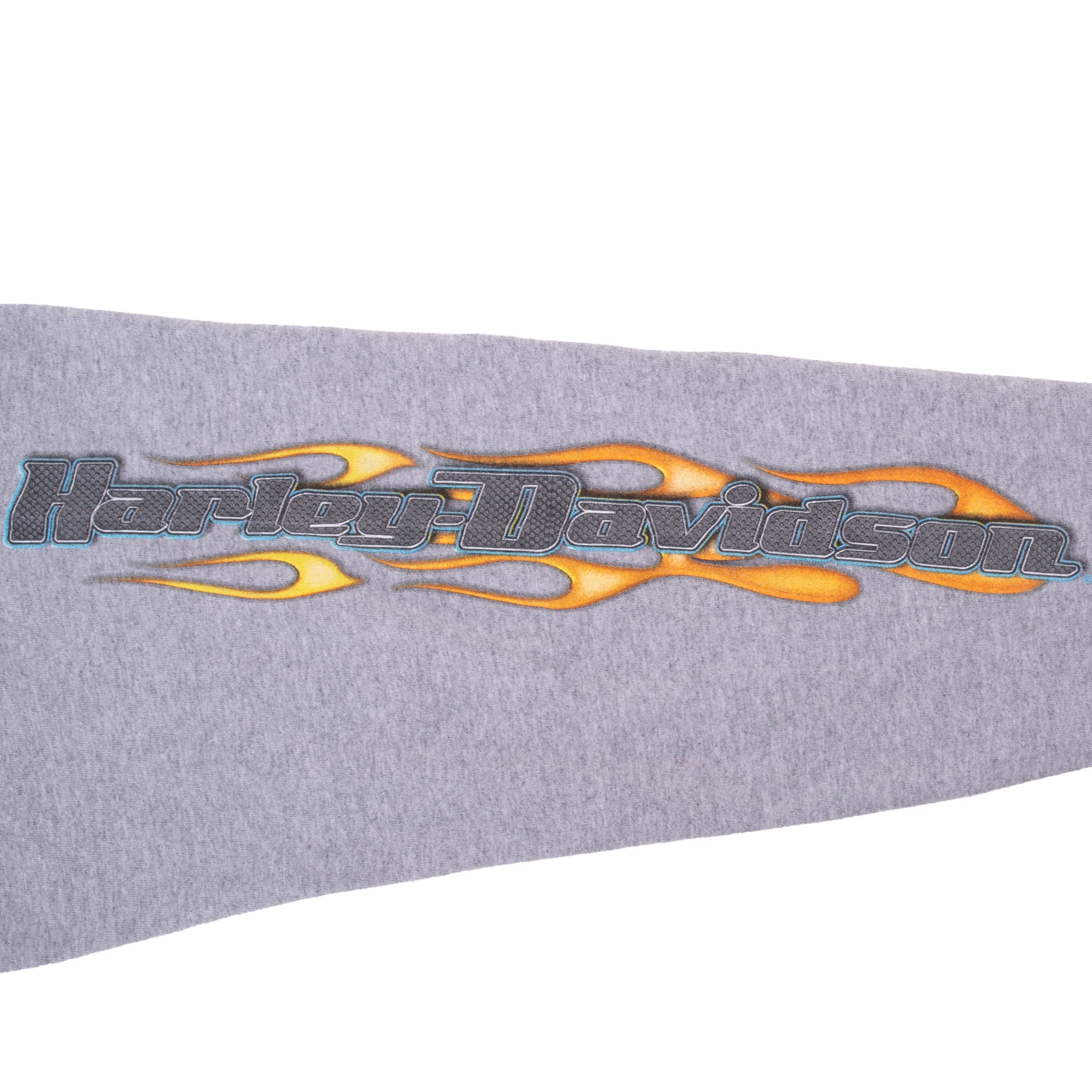 Vintage Harley Davidson Pocatello Idaho Flame Long Sleeve Tee Shirt 2017 Size XL