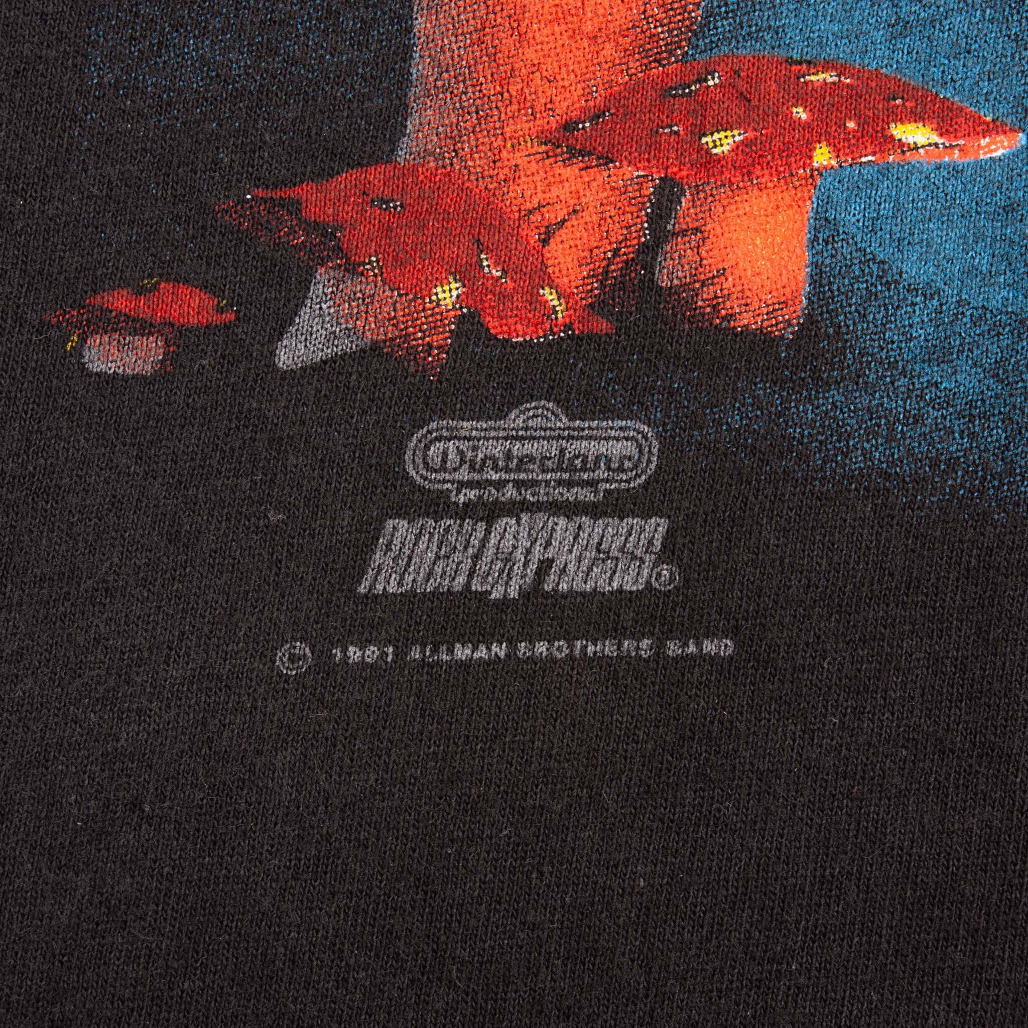 Vintage The Allman Brothers Band 1991 Tee Shirt Size XL Made In Usa With Single Stitch Sleeves