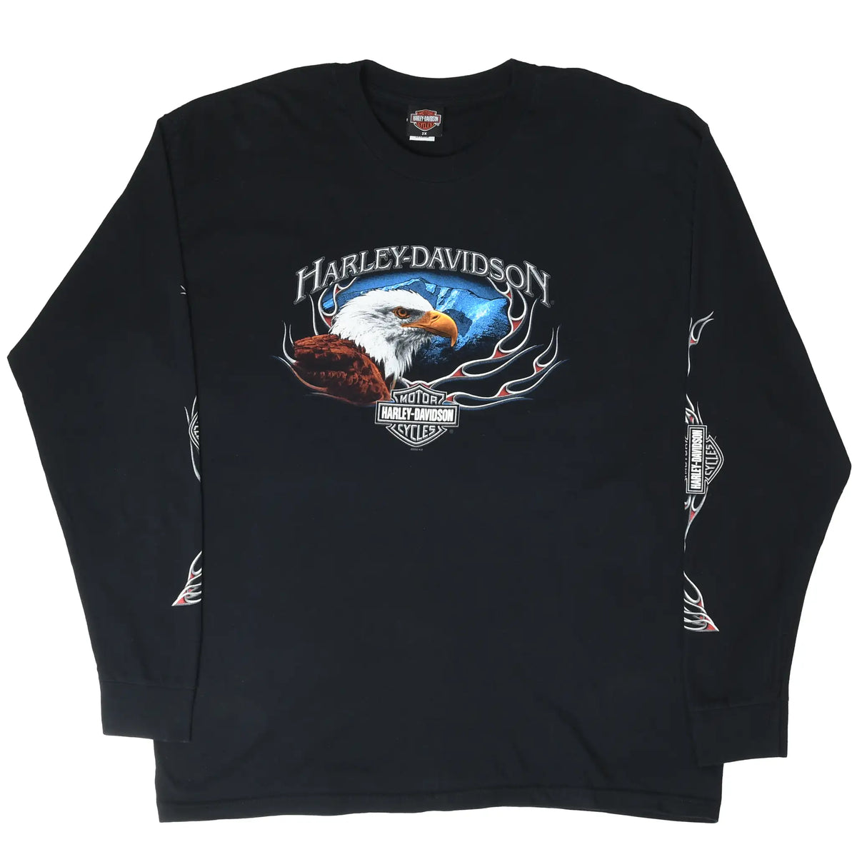 Angled front view of black Harley-Davidson long-sleeve T-shirt with bald eagle graphic