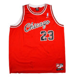 Vintage Nike Team NBA Chicago Bulls Michael Jordan #23 Jersey Size 3XL. 1984