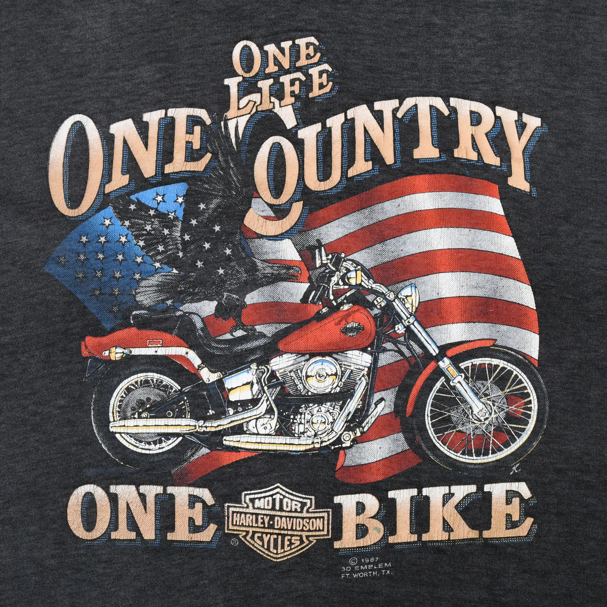 Close-up of One Life One Country Harley-Davidson motorcycle and American flag front graphic
