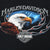 Close-up of Harley-Davidson bald eagle, blue sky, flames, and shield front graphic