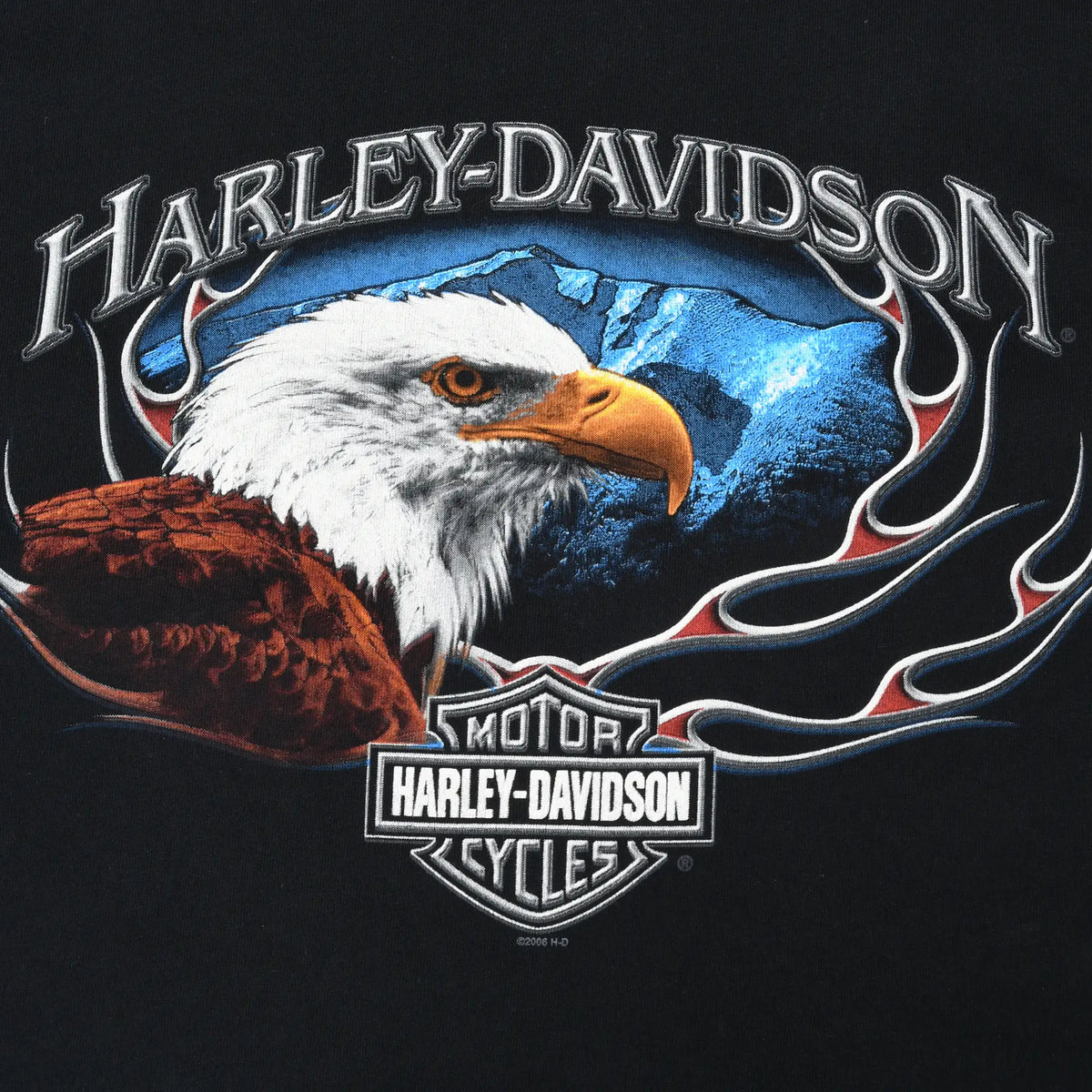 Close-up of Harley-Davidson bald eagle, blue sky, flames, and shield front graphic