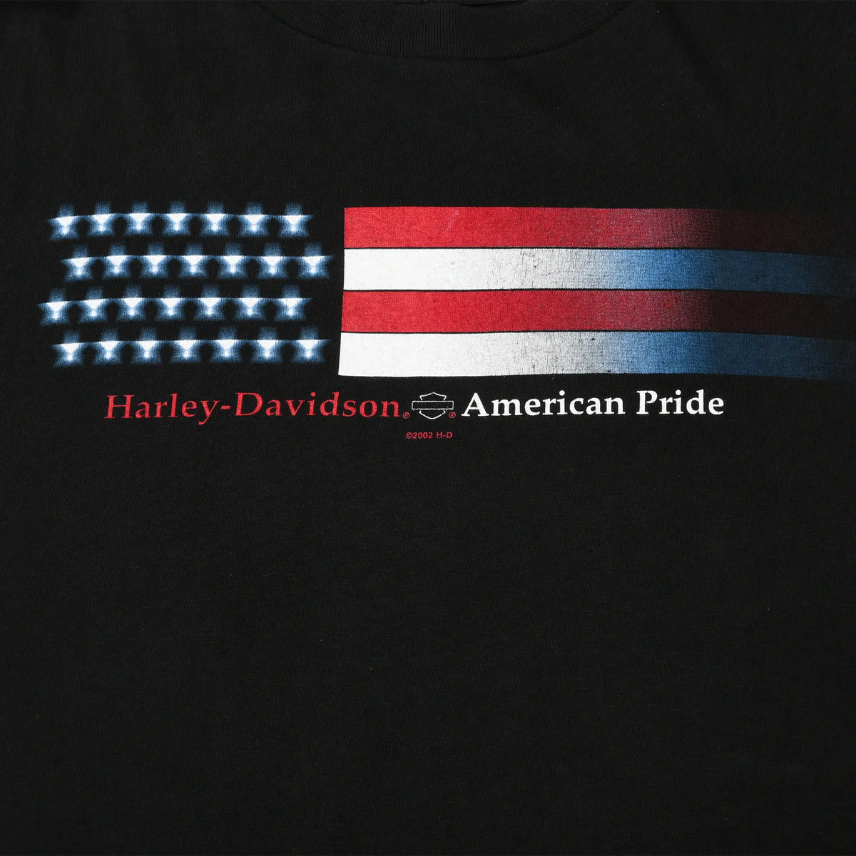 Close-up of American flag graphic with Harley-Davidson American Pride text