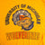 VINTAGE UNIVERSITY OF MICHIGAN WOLVERINES TEE SHIRT 1980s SIZE LARGE MADE IN USA