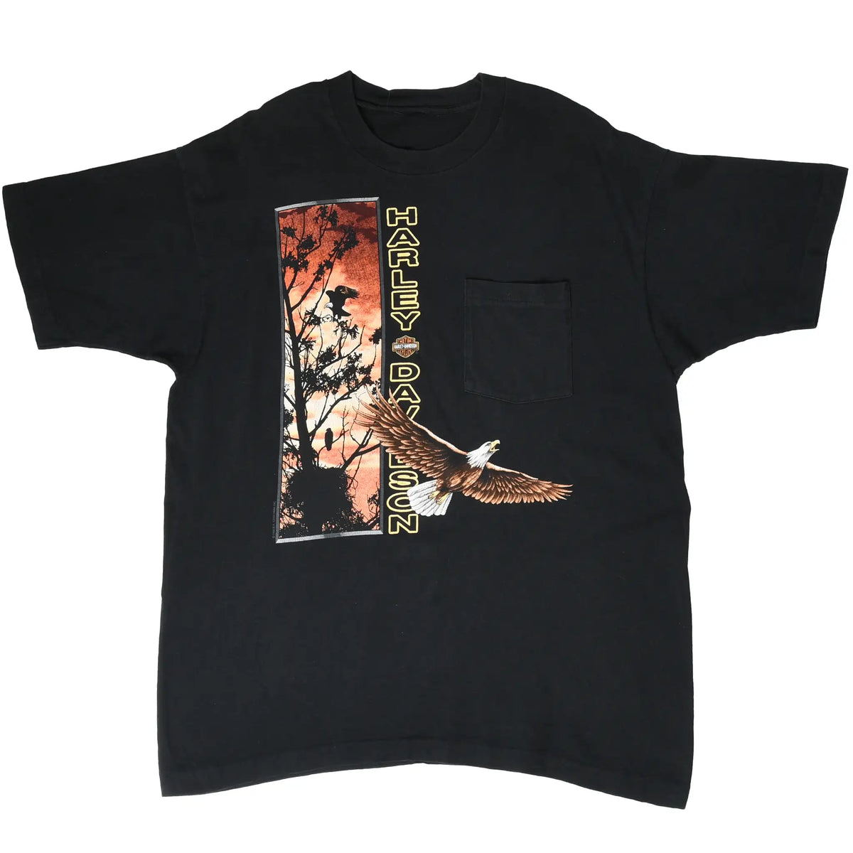 Full front view of black Harley-Davidson pocket T-shirt with flying eagle graphic