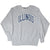 Full front view of gray Illinois NCAA crewneck sweatshirt with long sleeves