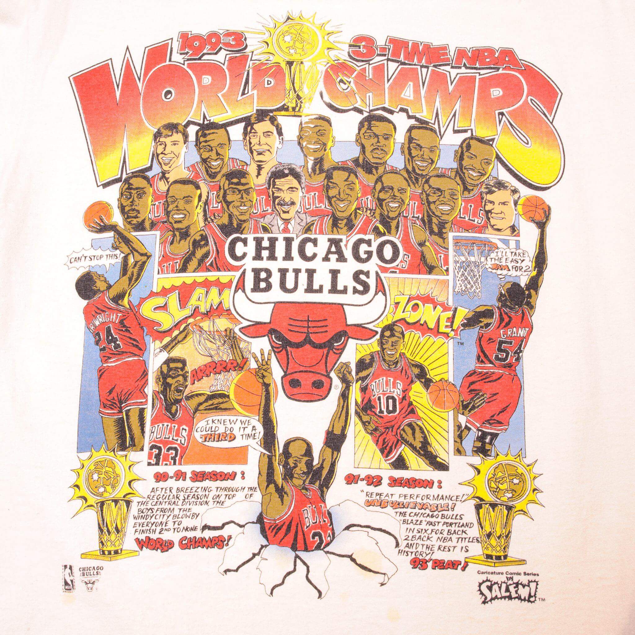 VINTAGE NBA CHICAGO BULLS TEE SHIRT 1993 SIZE MEDIUM MADE IN USA