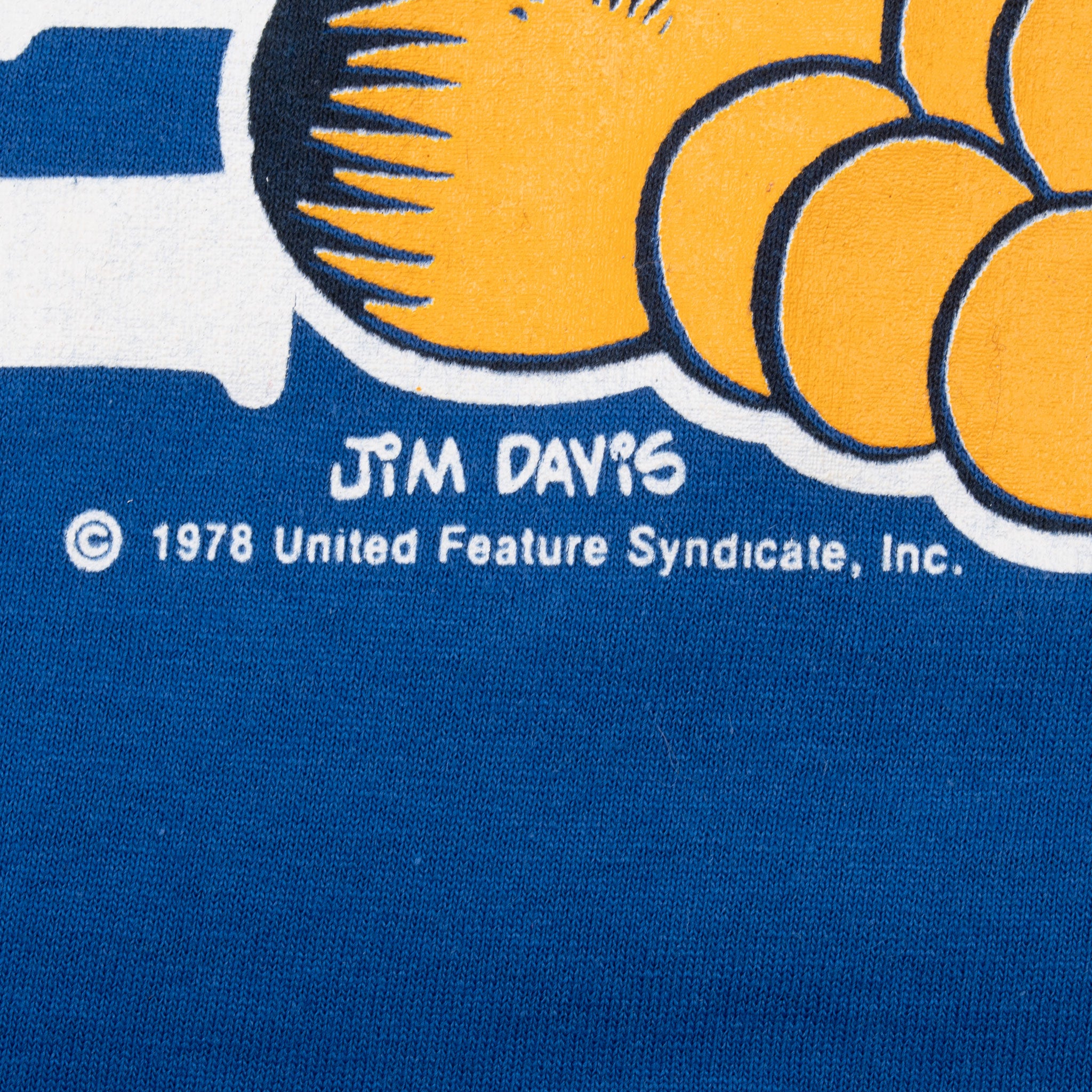 Vintage Garfield Indy 500 Indy Car Racing Tee Shirt Size Medium Made In Usa With Single Stitch Sleeves