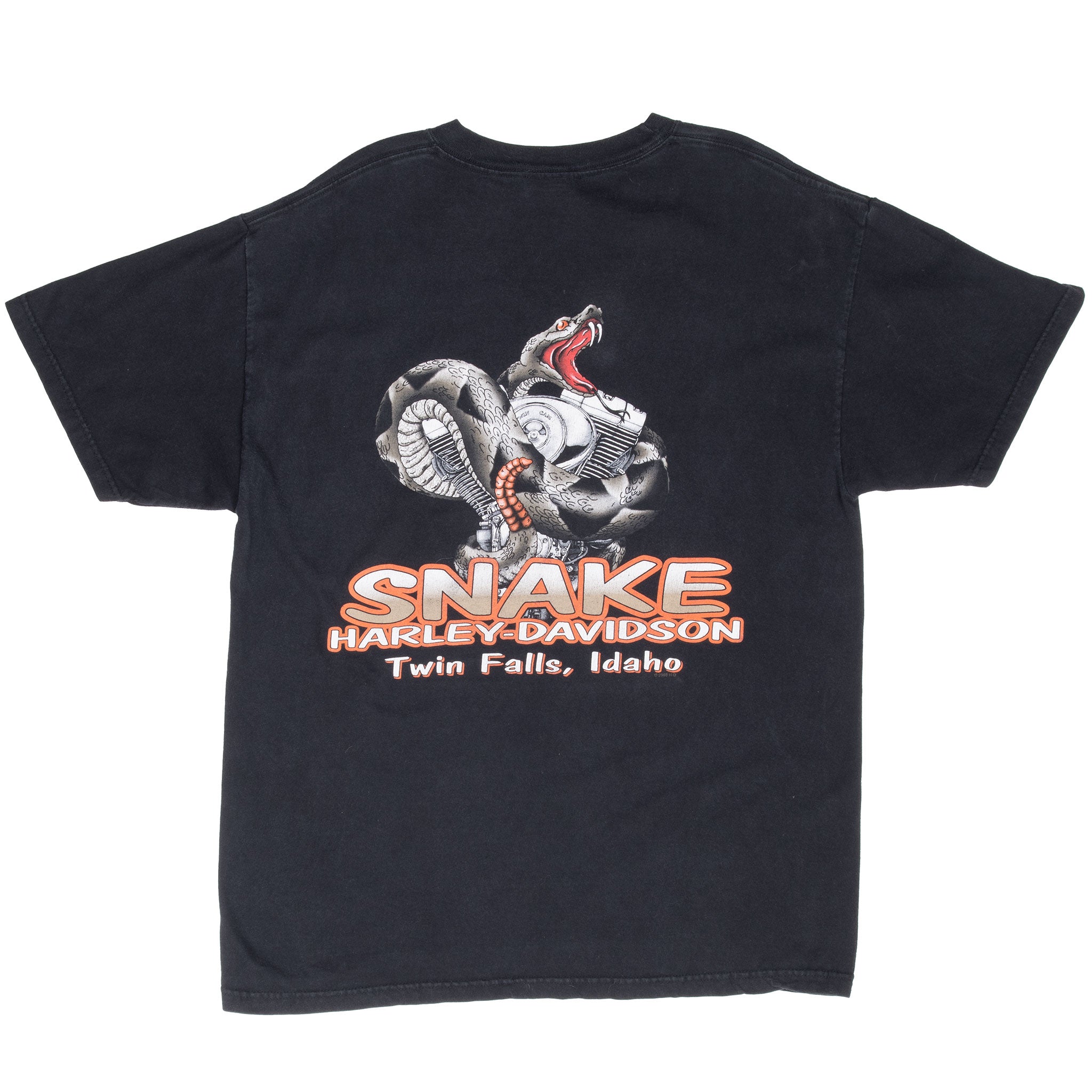 Vintage Harley Davidson Twin Falls Idaho Snake Tee Shirt 2008 Size Large Made In Usa