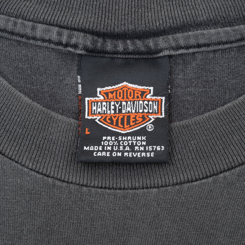 Vintage Harley Davidson Princeton Illinois Tee Shirt 1998 Size Large Made In Usa