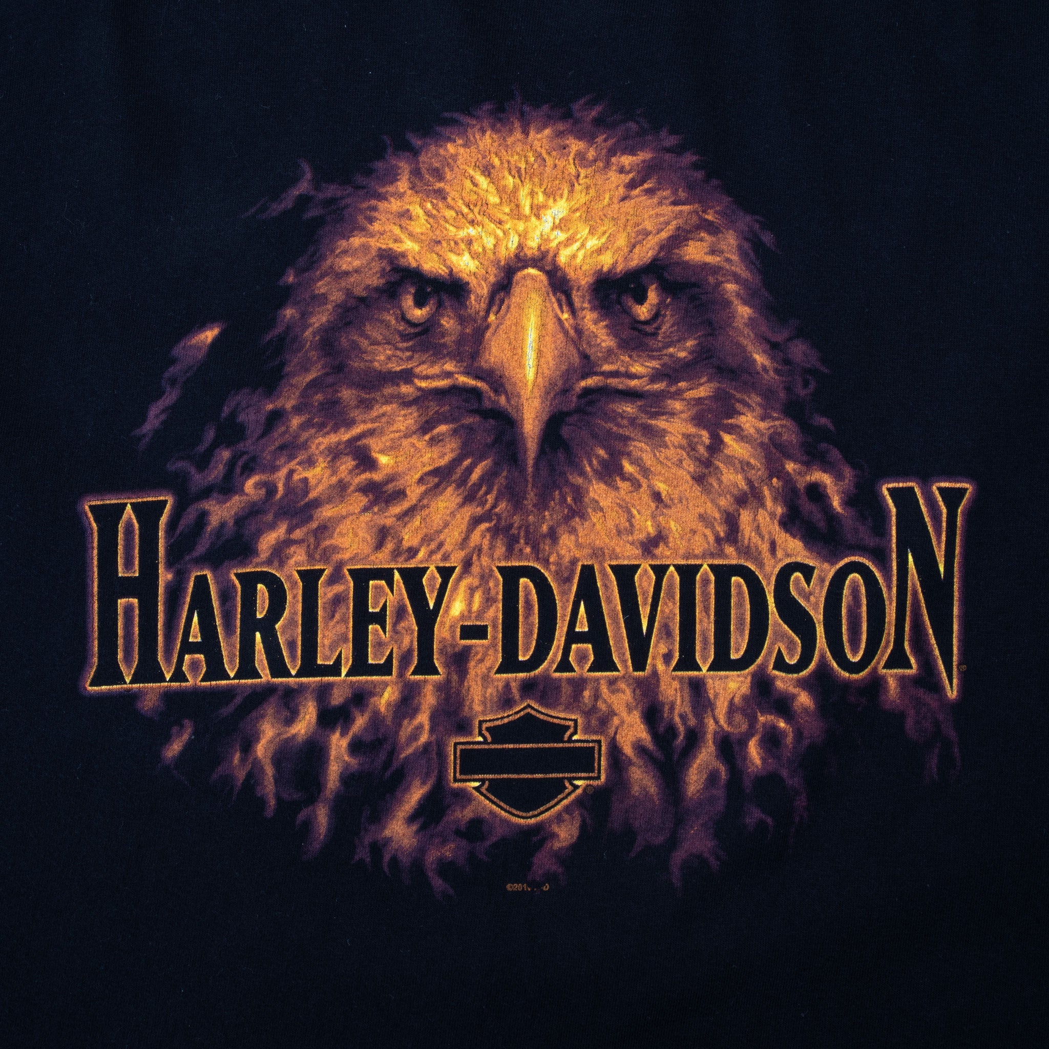 Vintage Harley Davidson Eagle 2010 Tee Shirt Size 3XL