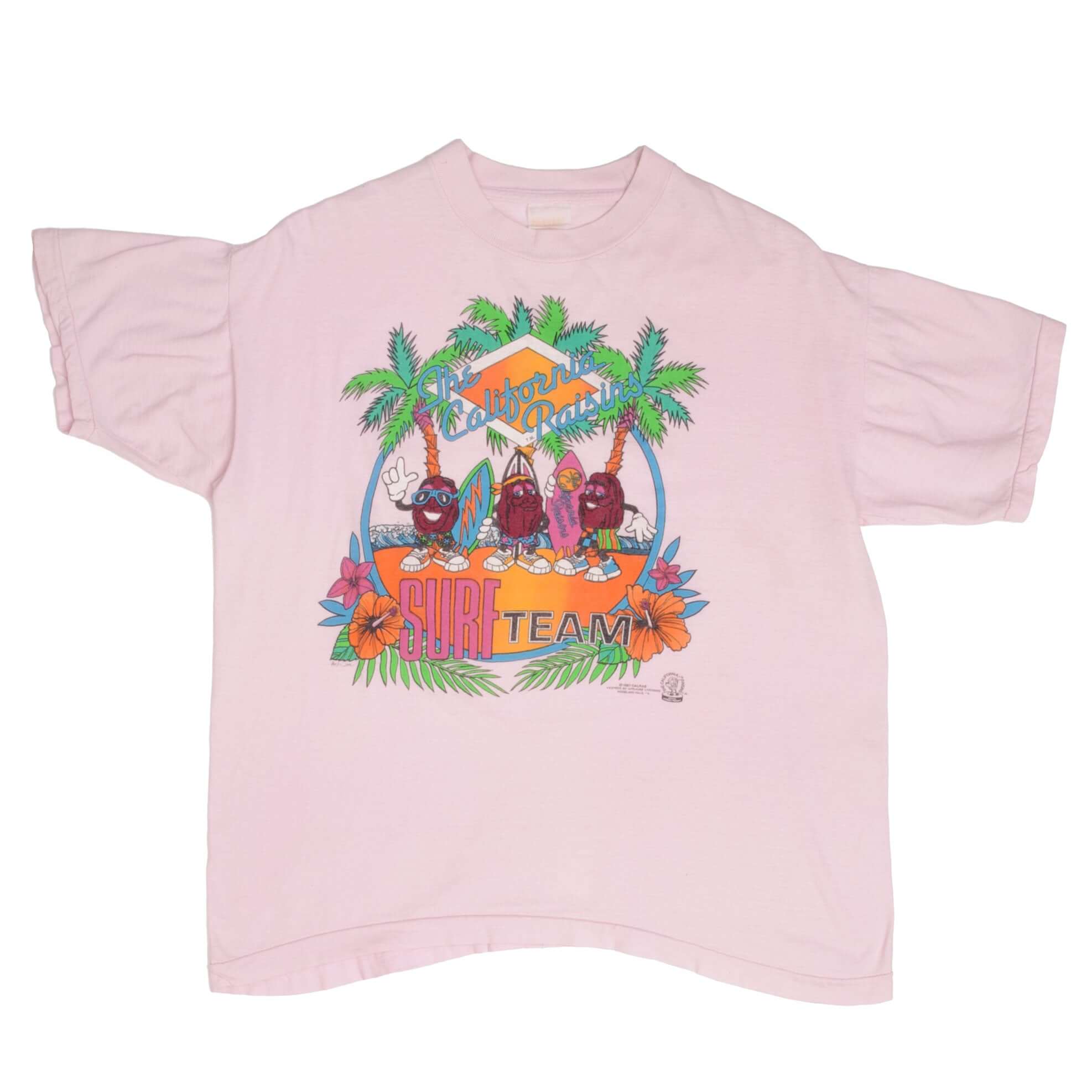Vintage The California Raisins Surf Team Tee Shirt 1987 Size Large Made In USA With Single Stitch Sleeves