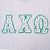 Vintage Champion Reverse Weave Alpha Chi Omega Sorority Sweatshirt 1980S Size XL Made In Usa