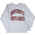 Full front view of gray Champion sweatshirt with University South Dakota lettering