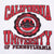 Vintage California University Of Pennsylvania Sweatshirt 1990S Size 2Xl