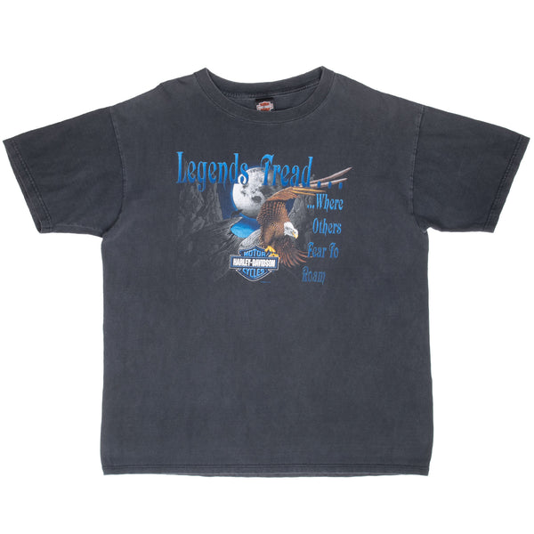 Vintage Harley Davidson Duluth Mn Tee Shirt 2001 Size XL Made In Usa