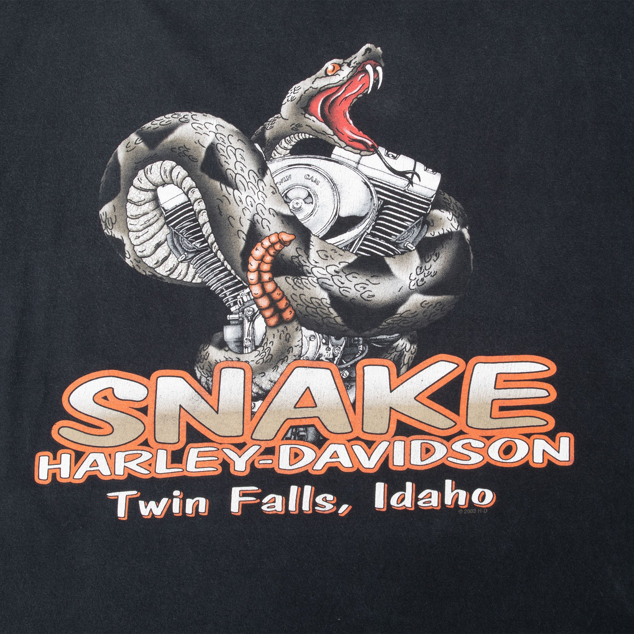 Vintage Harley Davidson Twin Falls Idaho Snake Tee Shirt 2008 Size Large Made In Usa