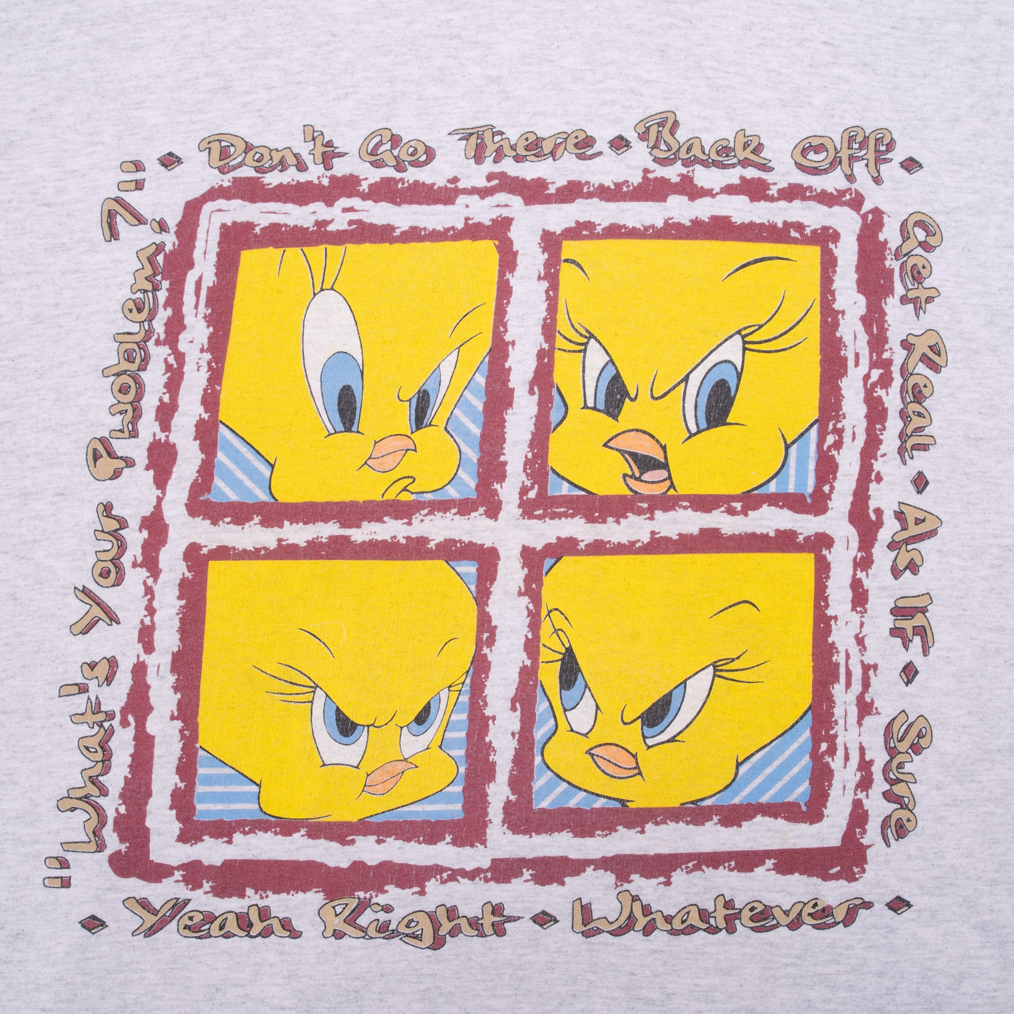 Vintage Looney Tunes Tweety 1995 Tee Shirt Size XL Made In Usa