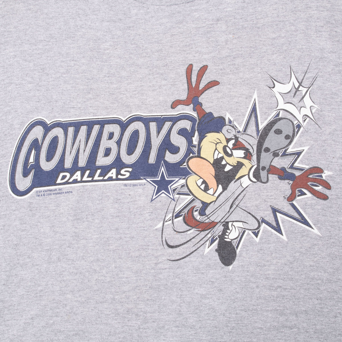 Vintage Nfl Dallas Cowboys Looney Tunes Taz 2000 Tee Shirt Size Large