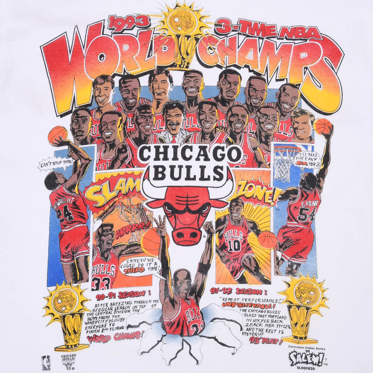Close-up of colorful Chicago Bulls 1993 three-time NBA world champions graphic