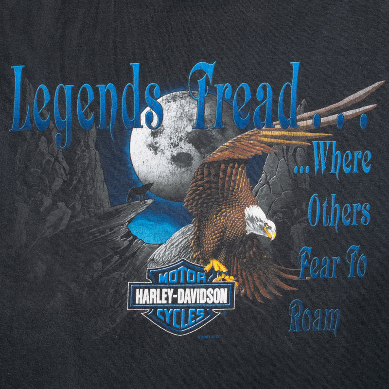 Vintage Harley Davidson Duluth Mn Tee Shirt 2001 Size XL Made In Usa