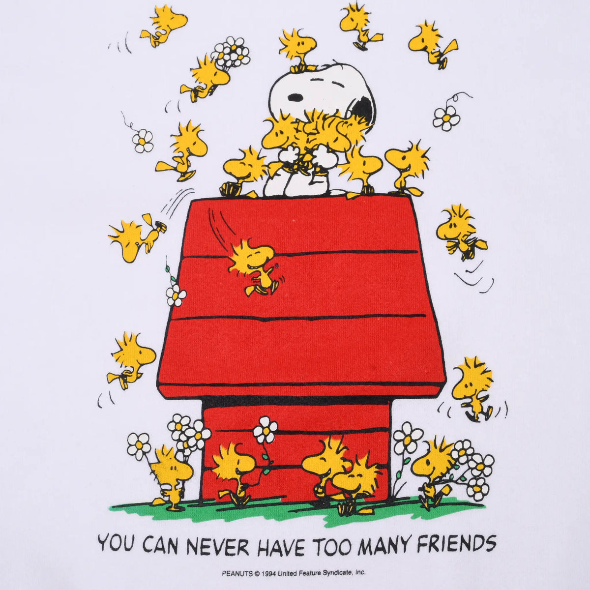 Close-up of Snoopy and Woodstocks on red doghouse with You Can Never Have Too Many Friends text