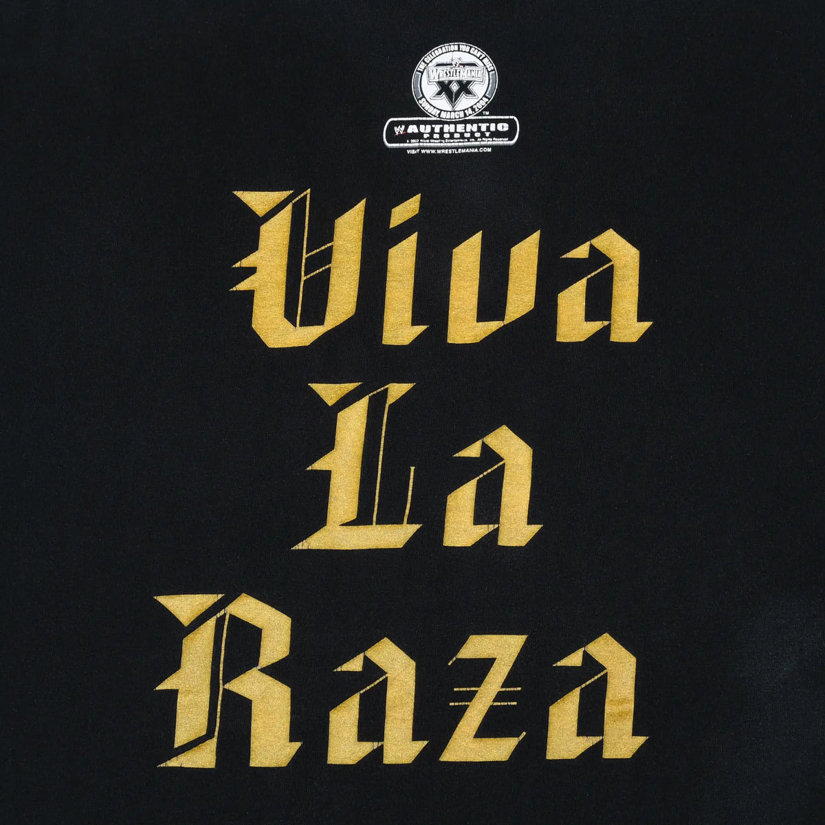 Close-up of large gold Gothic-style Viva La Raza print on the back