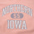 Vintage Reverse Weave Champion Northern Iowa University Sweatshirt 1980S Size Large Made In USA