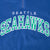 VINTAGE PROLINE NFL SEATTLE SEAHAWKS QUARTER ZIP CHAMPION FLEECE XL 1990S