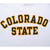 Vintage Colorado State University White Hoodie Sweatshirt 1990S Size XL