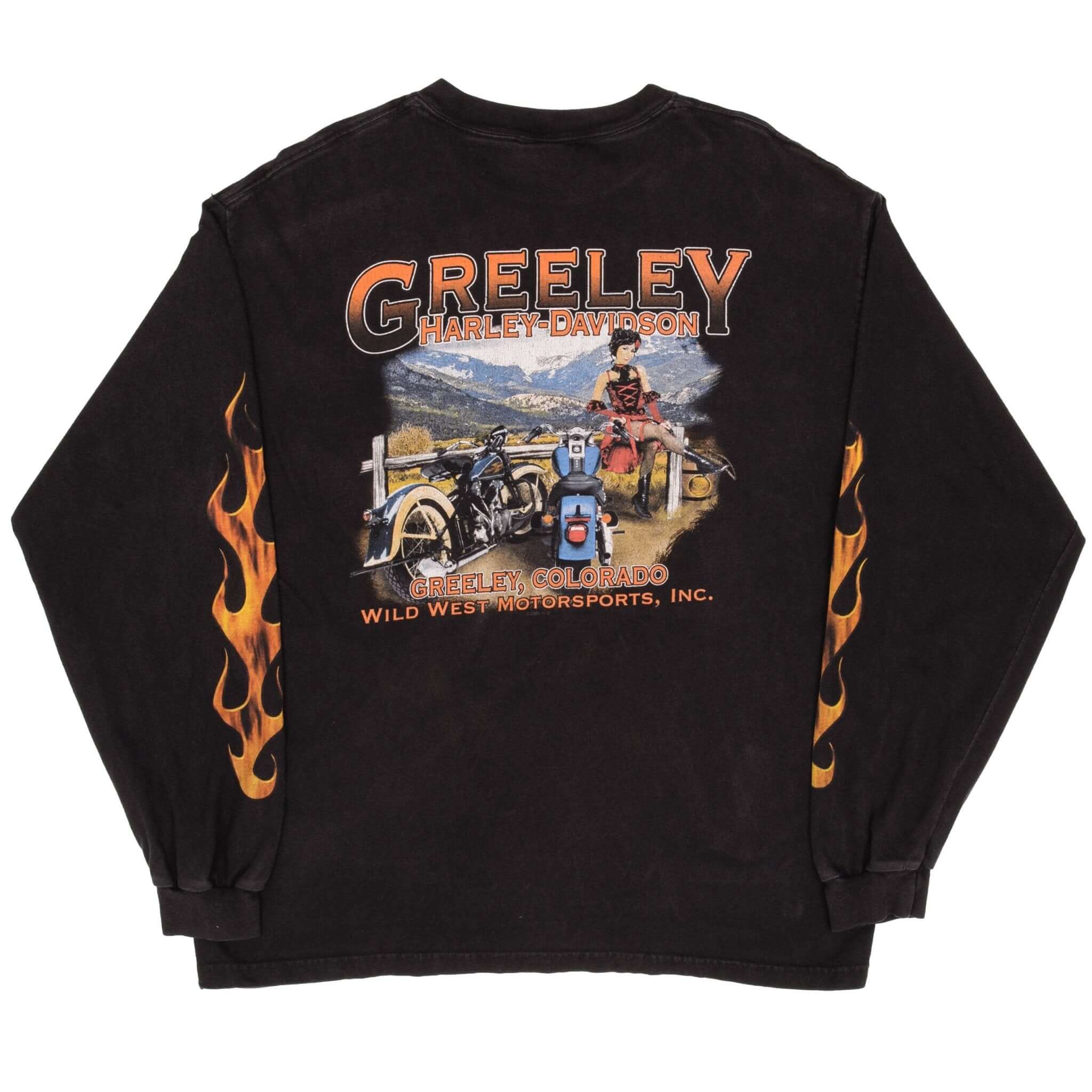Vintage Harley Davidson Greeley Colorado Long Sleeve Tee Shirt 2009 Size XL Made In USA