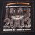 VINTAGE HARLEY DAVIDSON 100 YEARS ANNIVERSARY MILWAUKEE TEE SHIRT 2003 XL