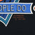 Graphic detail showing 3D Emblem Fort Worth, Texas copyright 1991 mark