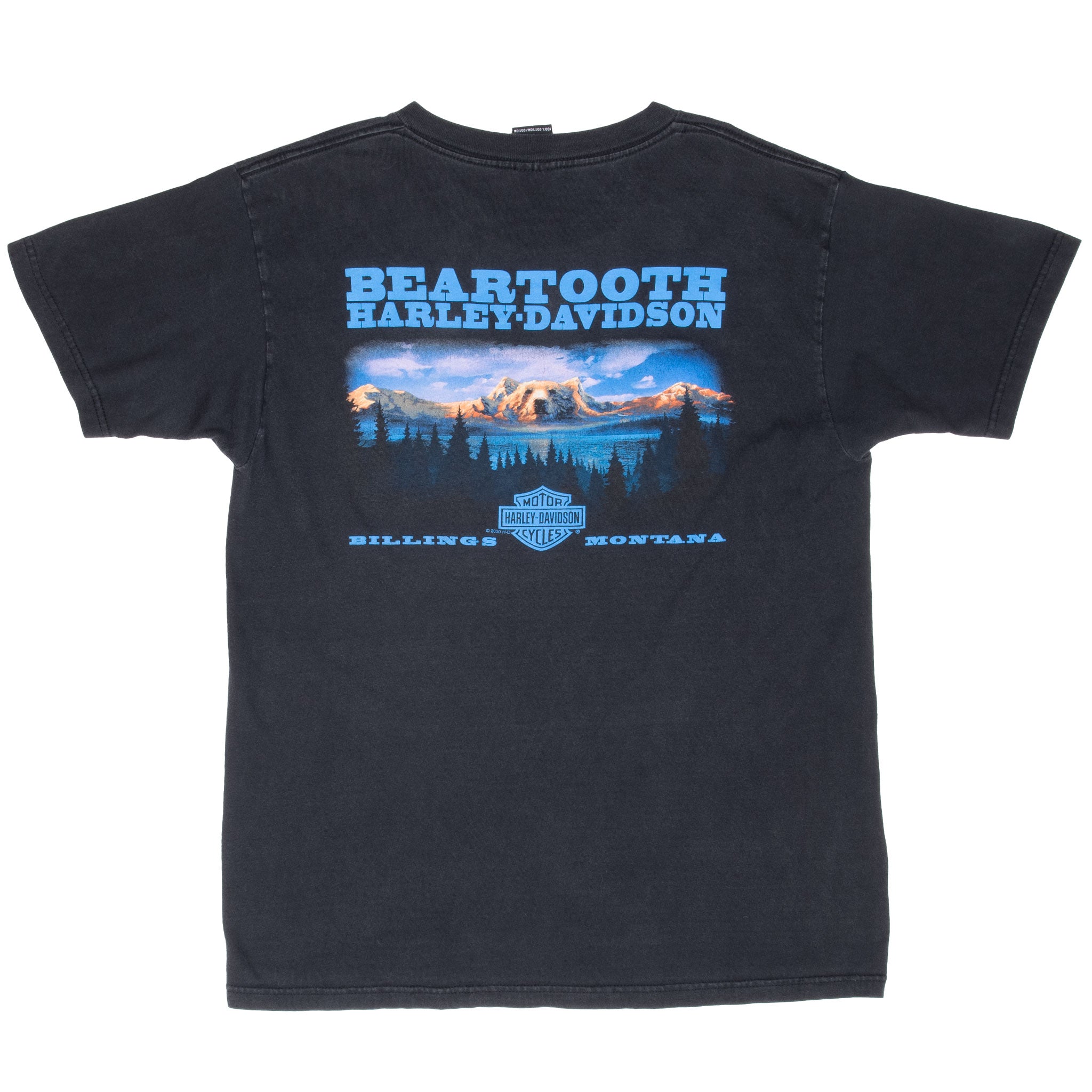 VINTAGE HARLEY DAVIDSON BILLINGS MONTANA 2002 TEE SHIRT LARGE MADE IN USA