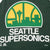 VINTAGE NBA SEATTLE SUPERSONICS EARLY 1990S TANK TOP TEE SHIRT SIZE LARGE