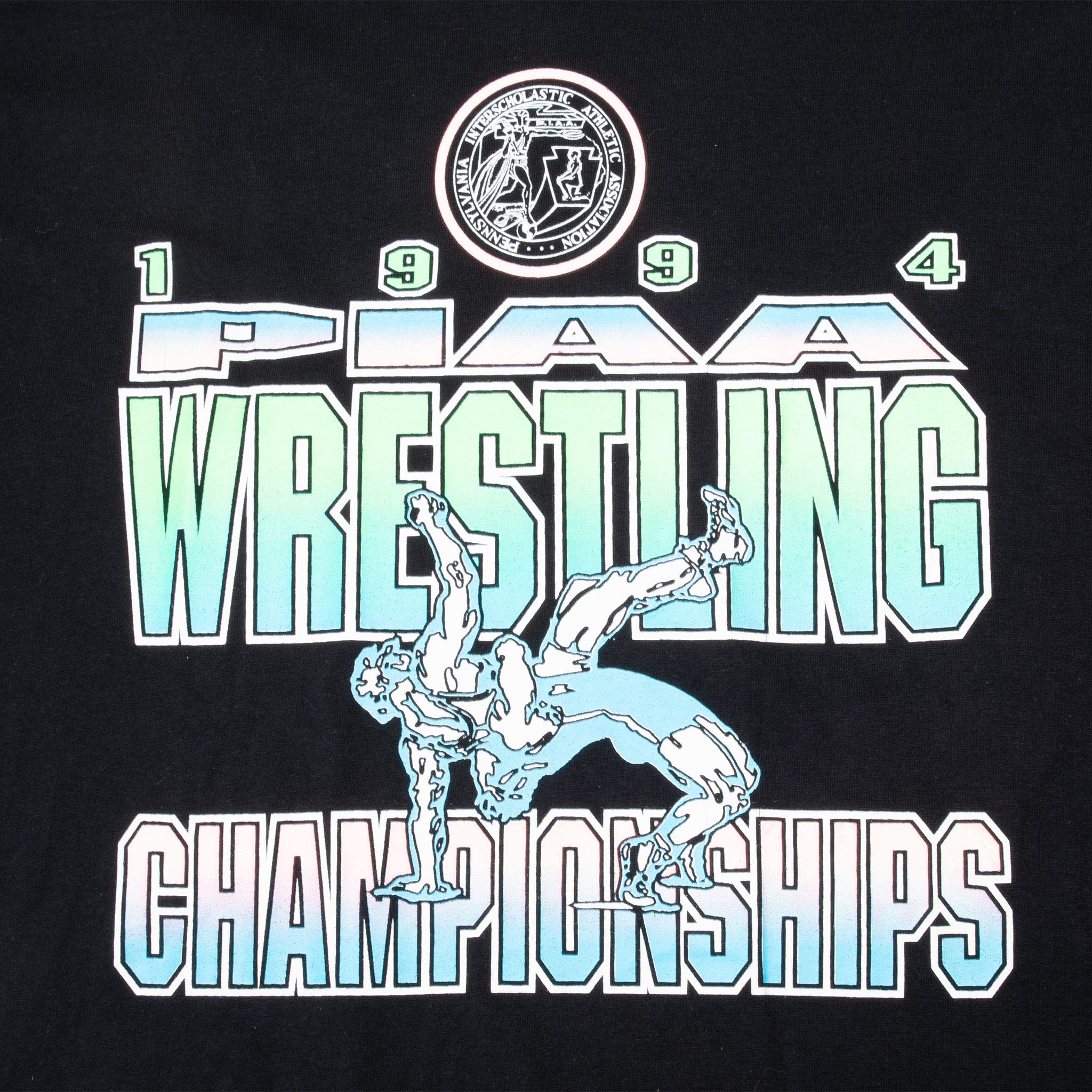 VINTAGE PIAA WRESLTING CHAMPIONSHIP 1994 TEE SHIRT SIZE MEDIUM MADE IN USA