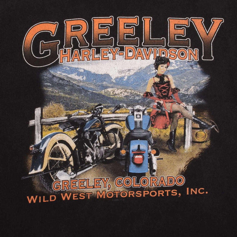 Vintage Harley Davidson Greeley Colorado Long Sleeve Tee Shirt 2009 Size XL Made In USA