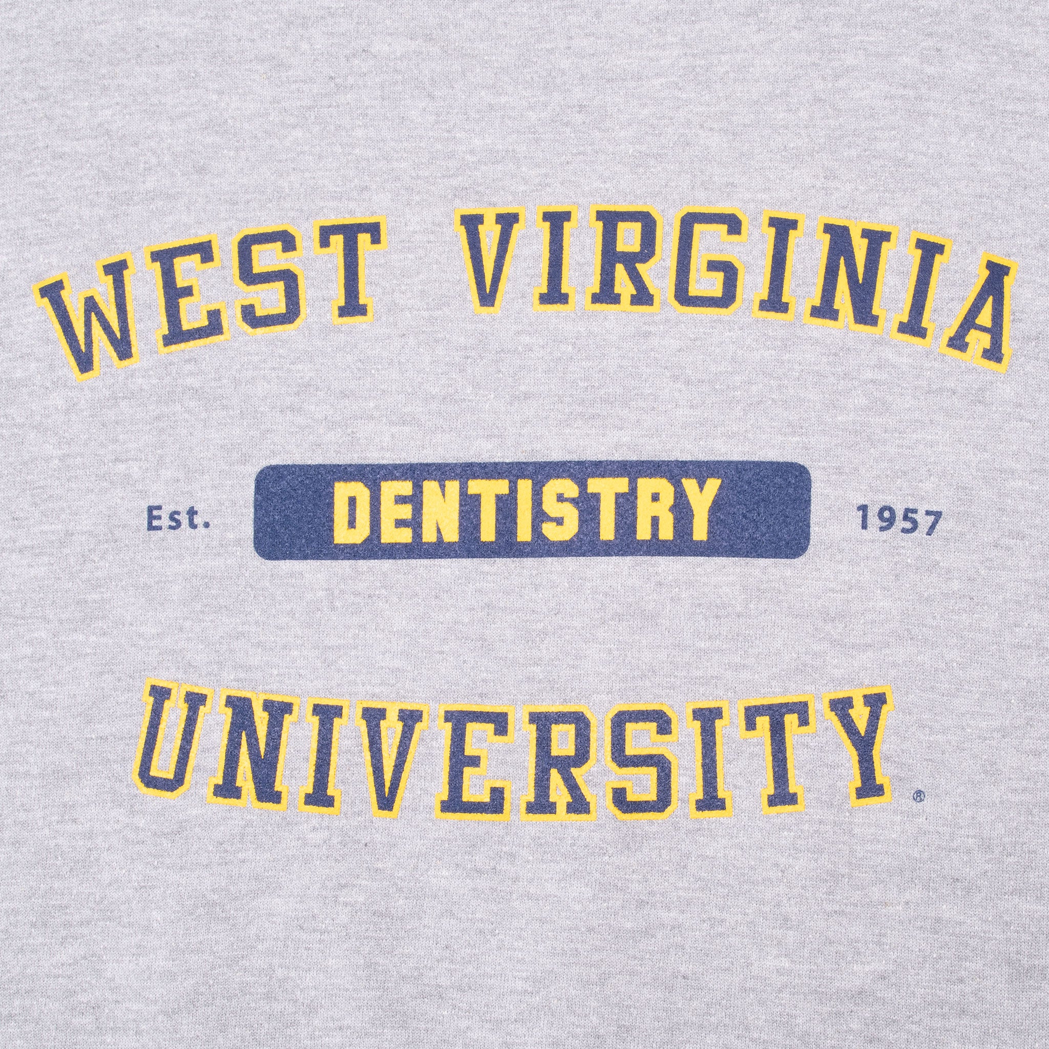 Vintage West Virginia Dentistry Grey Sweatshirt 2000S Size Medium