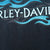 Vintage Harley Davidson Daytona Beach 2000 Tie Dye Tee Shirt With SIngle Stitch Sleeves Size Large Made In Usa