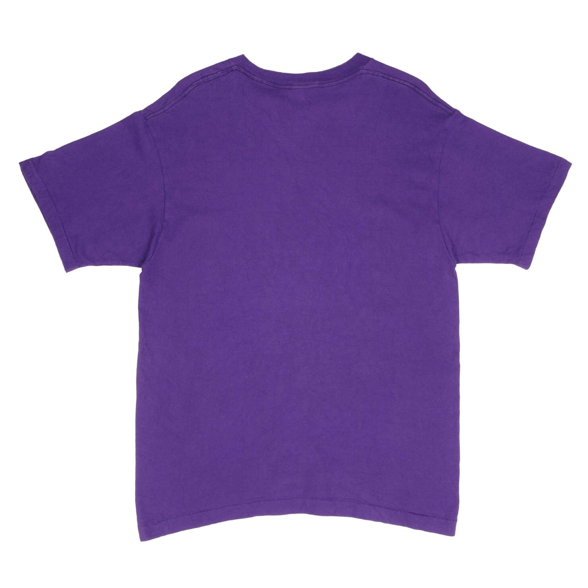 Vintage NFL Minnesota Vikings 1990S Tee Shirt Size Large Made In USA With Single Stitch Sleeves