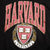 VINTAGE HARVARD SWEATSHIRT SIZE MEDIUM MADE IN USA