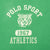 Vintage Ralph Lauren Polo Sport Athletics Green Ringer Tee Shirt 1990S Size Medium
