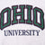 VINTAGE CHAMPION REVERSE WEAVE OHIO UNIVERSITY SWEATSHIRT 1990S LARGE MADE USA